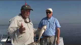 preview picture of video 'Redfish Charter near St. Simons Island Georgia'