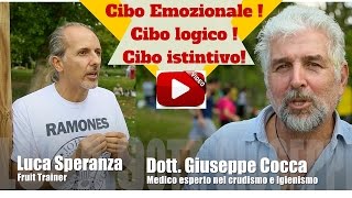 Anteprima video YouTube