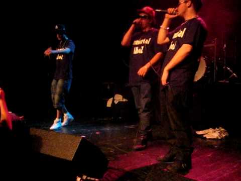 Immortal Alboz  - King of Kosova