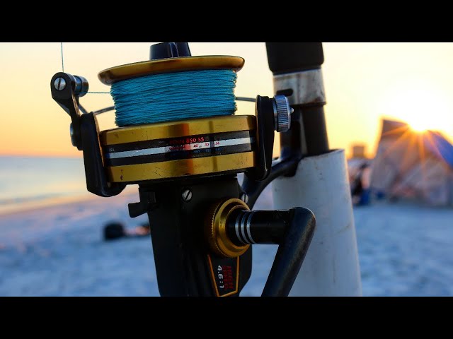The TRUTH about Surf Fishing!  (Part 2)