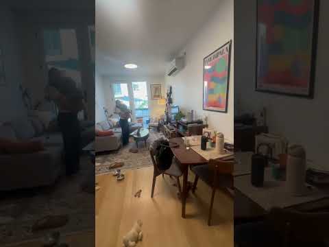 video 1