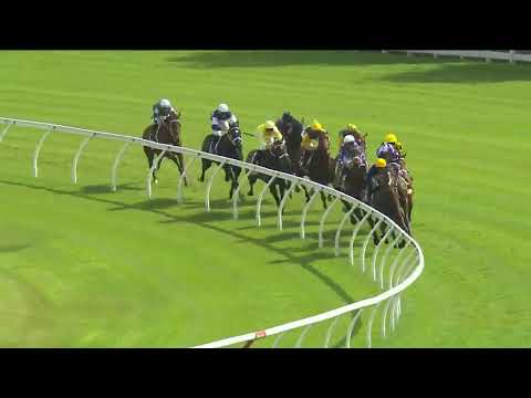 AUTUMN GLOW - Apollo Stakes 2026 (3YO+ WFA G2) Group 2 Randwick 14 February