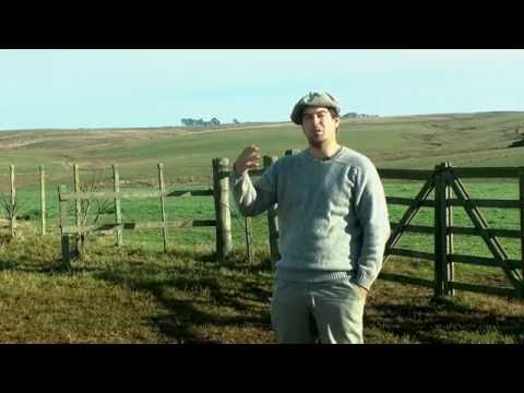 Ignacio Saravia, Establecimiento "La Blanqueada", Abrojal, Rivera.