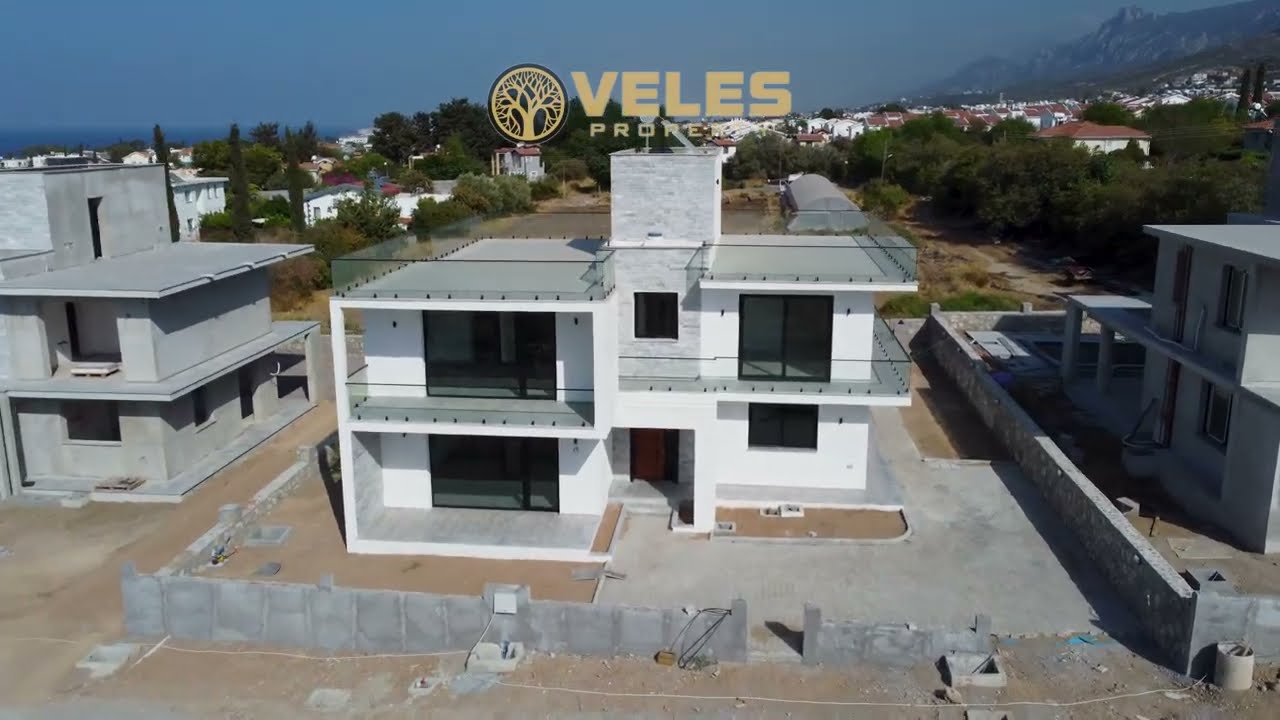 video image