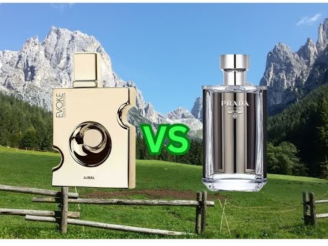Ajmal Evoke Gold Edition VS Prada L`Homme EdT/ guter Duft Zwilling 👍