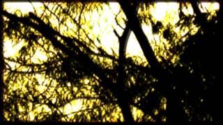 Gas - Pop - Untitled #7