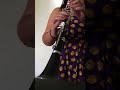 Shengwen Wu, Clarinet  transcription of Pete Fountain's solo Milenberg Joys