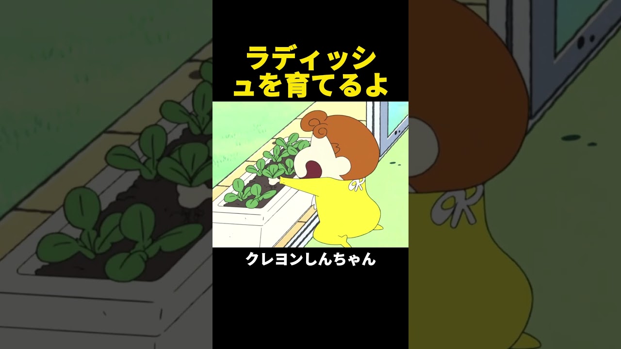 ラディッシュを育てるよ～ #クレヨンしんちゃん  #アニメ #面白い  #shorts #funny