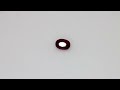 Rubino taglio ovale, 0.59 ct Video 1