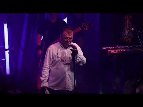 Dr Nele Karajlić - Abid uživo  ( Zappa Baza  29.11.2024.)