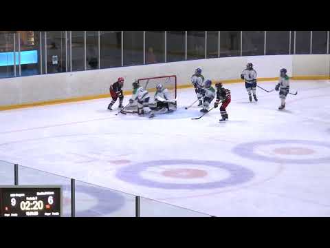 Ice Hockey Oefenwedstrijd: IJCU Dragons Utrecht U12 vs Dortrecht U12