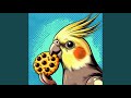 Cookie Cookie
