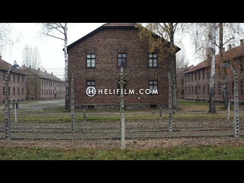 9818. Auschwitz Drone Stock Footage Video