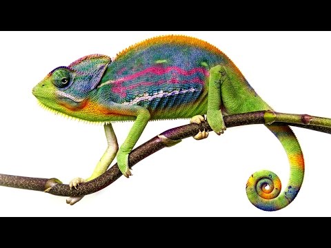 How to Set Up and Use a Wacom Tablet