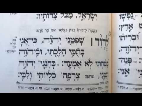 תהלים פרק כו׳ Tehilim perek 26 Psalms chapter 26 לדוד שפטני ה׳ כי אני בתומי הלכתי