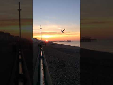 Brighton and Hove Sunrise - Wake up sleepy head