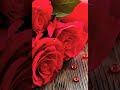 Yeh Dua Hai Meri Rab Se Whatsapp Status Video 2022