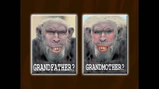 Apemen, Missing Links &amp; The Bible - Philip Bell