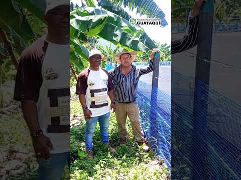 🌿💧 Comprometidos con el desarrollo sostenible de nuestro campo Guataquiseño