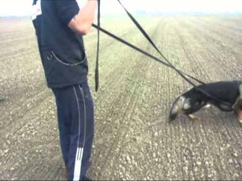 Brix Charliés Court , track