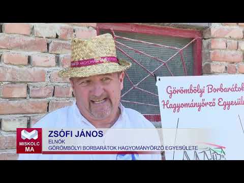 Videó előnézet