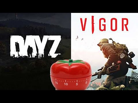 RADIATION CLOUDS Coming To DAYZ / VIGOR Release On PC? The Tomato Kitchen Timer Connection!