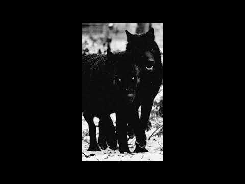 (FREE) Future x Drake Type Beat (HARD) - "REVOLUTION"