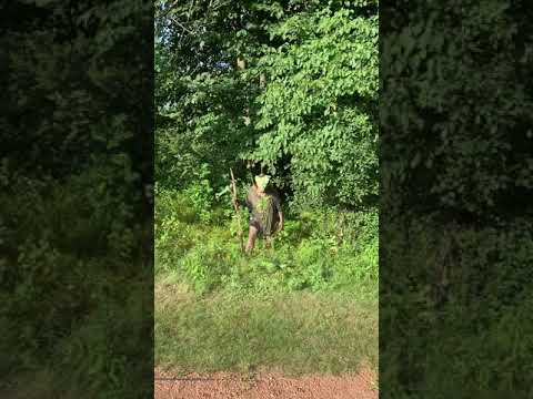 We found a real life swamp monster