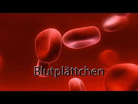 Wie man Prostatitis Kürbisöl behandeln Kaltsinaty bis 4 mm in der Prostatadrüse