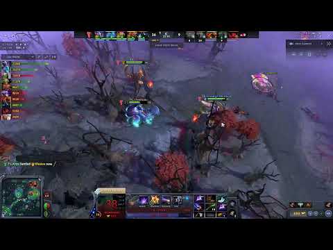 The Cut vs Dog Champ