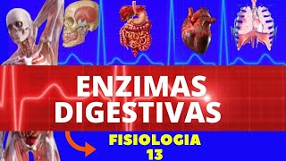 ENZIMAS DIGESTIVAS (FISIOLOGIA HUMANA) - FISIOLOGIA DO SISTEMA DIGESTÓRIO (FISIOLOGIA DE GUYTON)