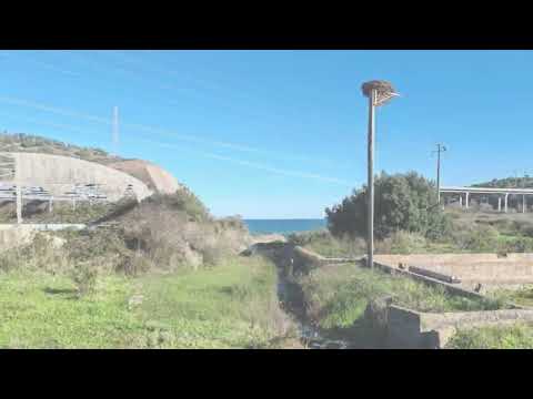 Prime Development Opportunity in Portimão: 290000 m² Plot with Abundant Resources