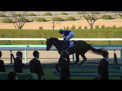 2021 武豊ついに勝った!! 朝日杯FS 本馬場入場 現地映像 ドウデュース