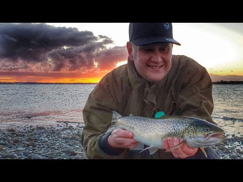 55cm havørred! NY PR!!! FLERE STORE FISK// big seatrout