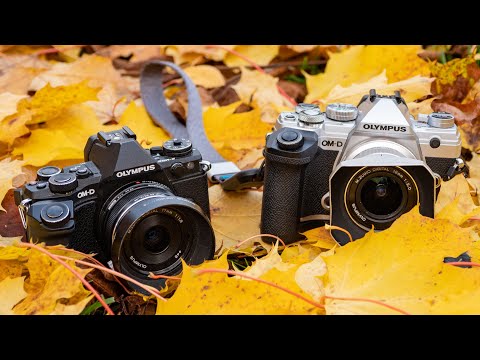 Olympus E-M5 MKIII vs. E-M5 MKII
