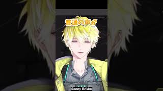 自分の魅力に気づいてない人【Sonny Brisko | サニー・ブリスコー | NIJISANJI EN】