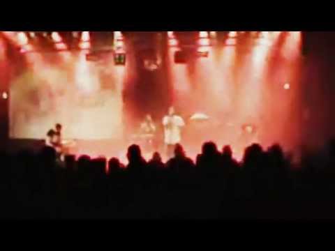 :new damage "all that matters"