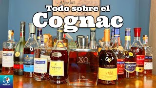 Qué es el Cognac, Cuál es el Mejor Cognac, Cuántos tipos de Cognac Hay | Coñac