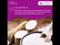 Bulk Starch For Sale Cassava Starch Tapioca Starch Yuca Starch Manioc Starch Manufactures