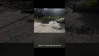 25 בינואר 2026 (ישיבת הר הבית) - התמונה מוצגת ישירות מתוך אתר האינטרנט יוטיוב. זכויות היוצרים בתמונה שייכות ליוצרה. קישור קרדיט למקור התוכן נמצא בתוך דף הסרטון