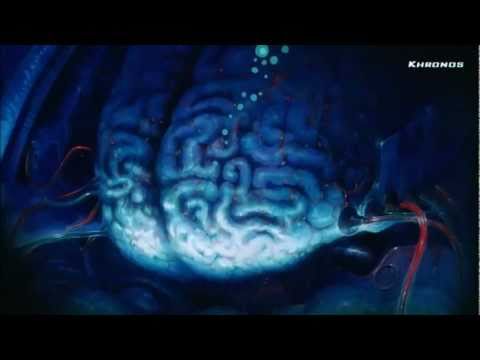 Khronosanime Trailer DBZ Pelicula 2 (Latino)