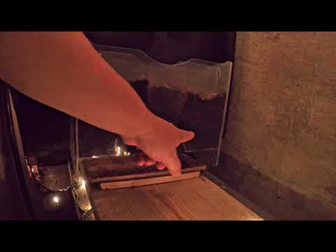 Last peek of nursery time-lapse bin, at 10+ weeks, before shutting down camera - vermicomposting