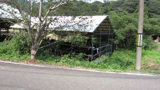 preview picture of video '2013.8/13サイクリング　南房総市和田町'