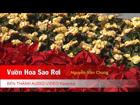 [Karaoke] Vườn Hoa Sao Rơi - Nguyễn Văn Chung | Beat Chuẩn