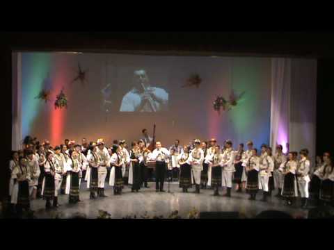 vara vara primavara 2010   ANSAMBLUL PROFESIONIST CINDRELUL JUNII   SIBIULUI    DANS DIN FAGARASI