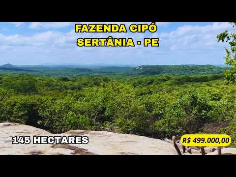 🌾 FAZENDA CIPÓ – CORTADA PELO CANAL DA TRANSPOSIÇÃO E PRONTA PARA PRODUZIR 🌾