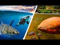 5 Most Dangerous Places To Swim