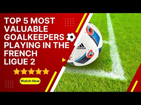 Top 5 most valuable goalkeepers playing in the French Ligue 2⚽️ #bestfootballplayers #footballers