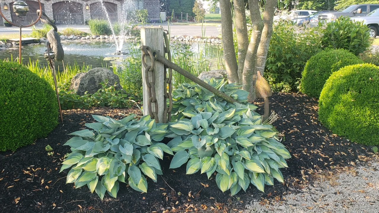 Twin Pine Manor Bed and Breakfast in Summer at Sunrise