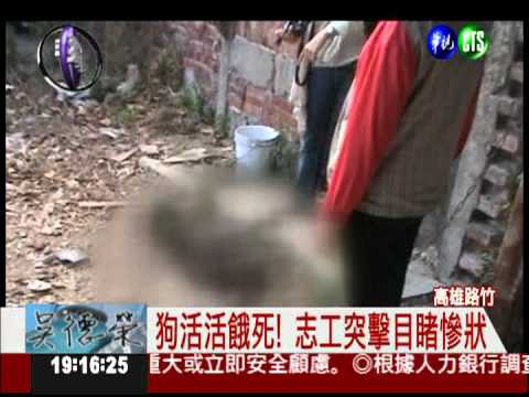 全國首例! 活活餓死狗 重罰10萬